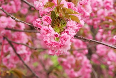 徐州鼓楼区1线下个人借款平台一站式服务，轻松解决资金难题